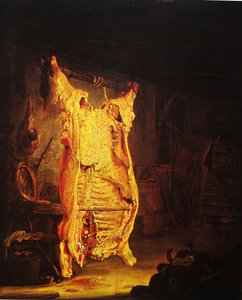 Slaughtered Ox by Rembrandt van Rijn